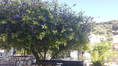Photos of Villa Lemona