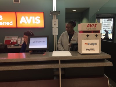 Avis Car Rental