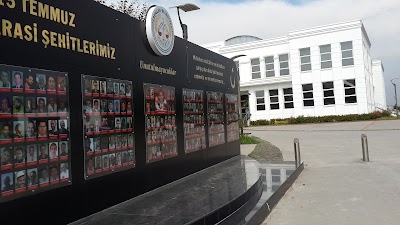 Photos of Travelers who Municipality