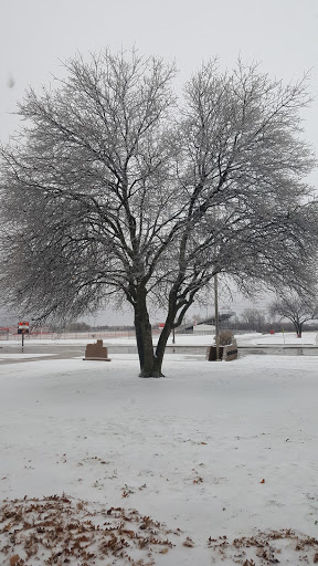 Olney High School - Visual