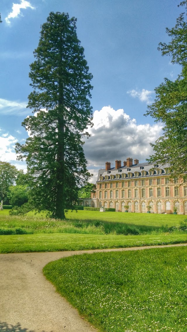 Jardin Anglais