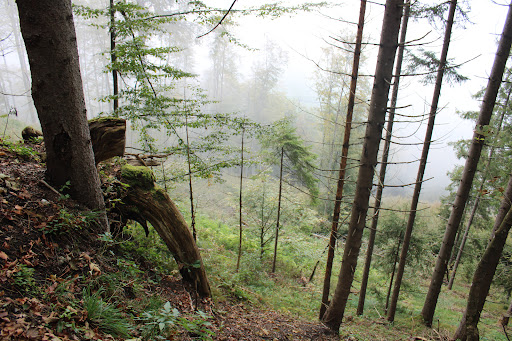 Falkensteinerweg - Visual