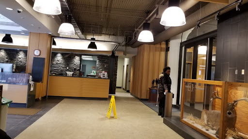 Minnesota Department of Natural Resources - Central Office Gallery - United States