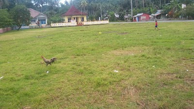 photo of Lapangan Desa Fanaha