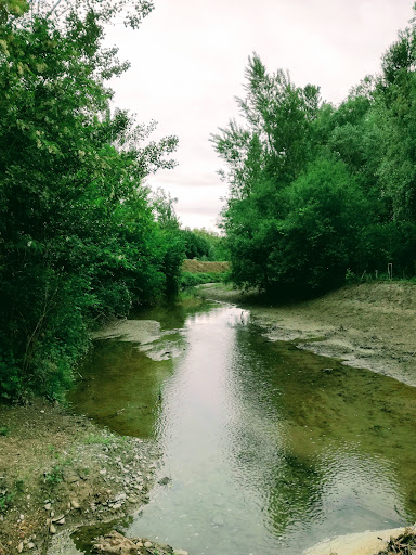 Parco Montesi - Visual