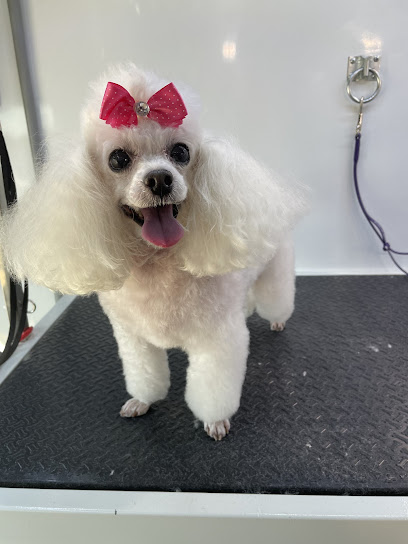 Pawsh Grooming and Boutique