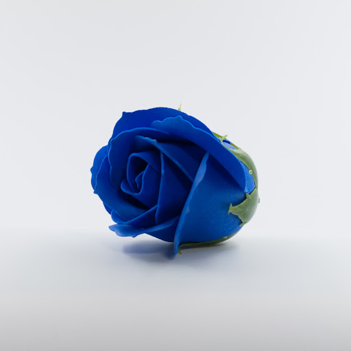 Gocce di mare - Visual