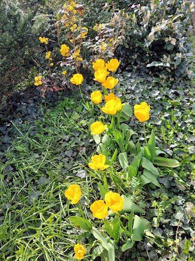 Friedhof Bebra