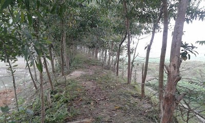Photos of Chondropur Eidgah