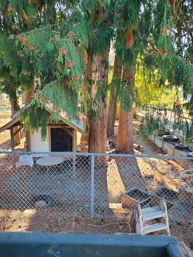 The Children's Centre at Duncan Elementary - Thumbnail