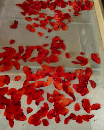 Photo n°76 de Mas de Jammes à Villeneuve (Hôtel bien-être)