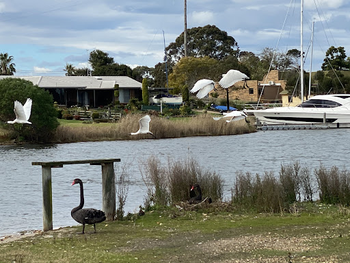 Paynesville Motor Cruiser Club - Thumbnail
