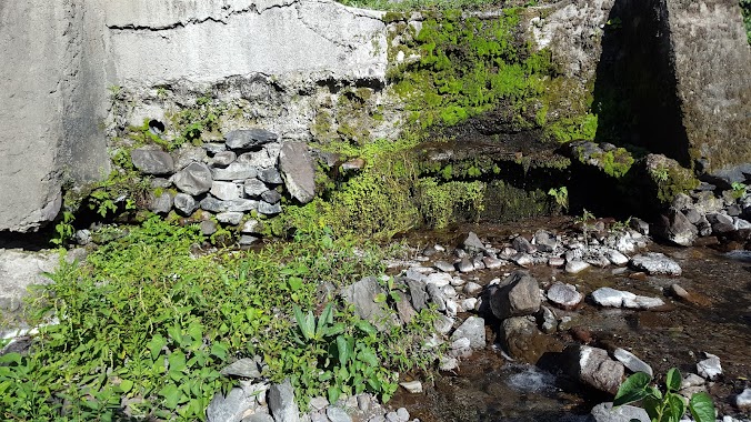 Cascadas de la Reserva Ecologica de Finca Las Costas, Author: Hugo Eduardo Morales