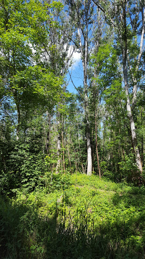 Park Schwansee - Visual