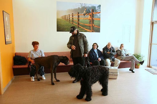 Sheepshead Bay Veterinary Group - Thumbnail