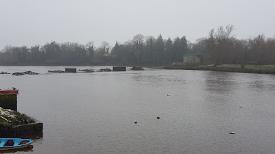 Photos of Corbally Birdwatch