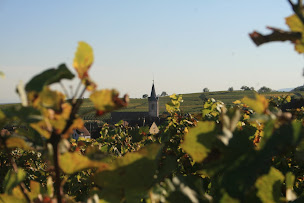 Photo n°44 de Cave de Beblenheim à Beblenheim (Cave à vins)