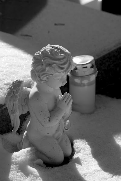 Photos of Cimeti&egrave;re Saint-Martin