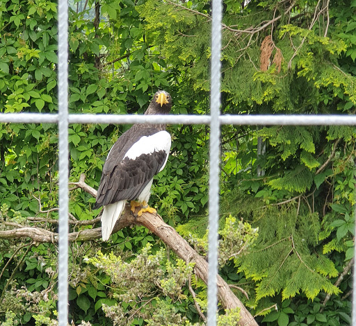 Zoologische Station Eichberg - Thumbnail