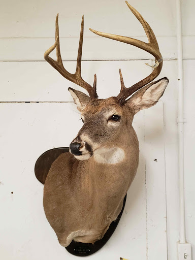 Owens Deer Processing - Thumbnail