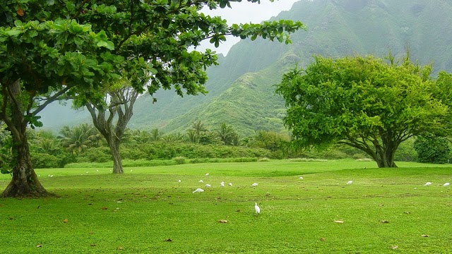 Parc national de Cat Ba