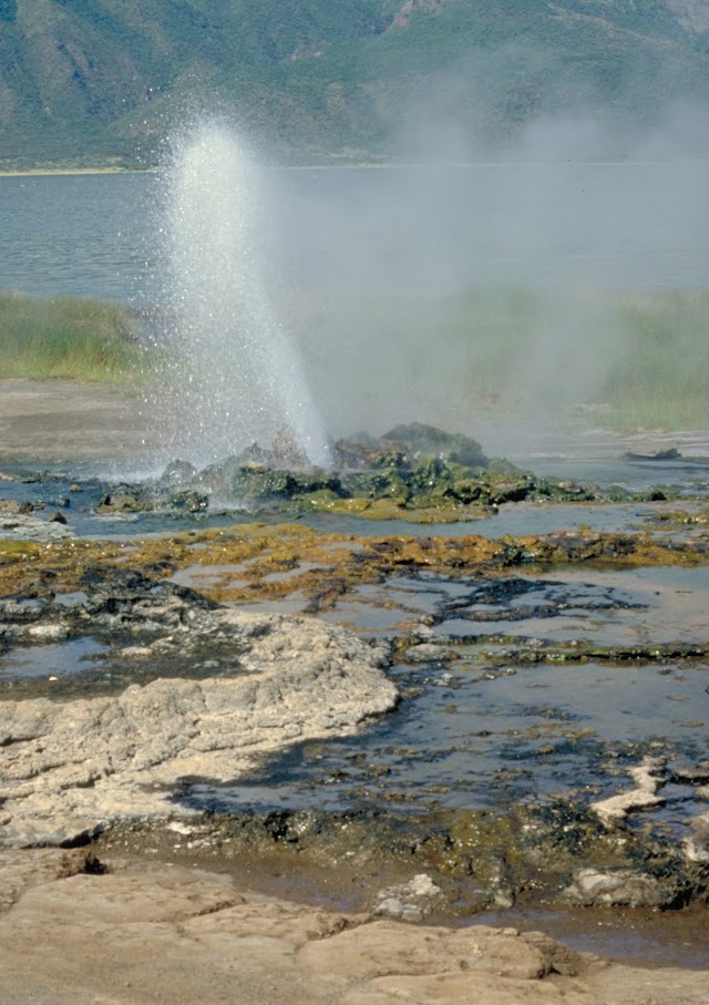 Lake Bogoria