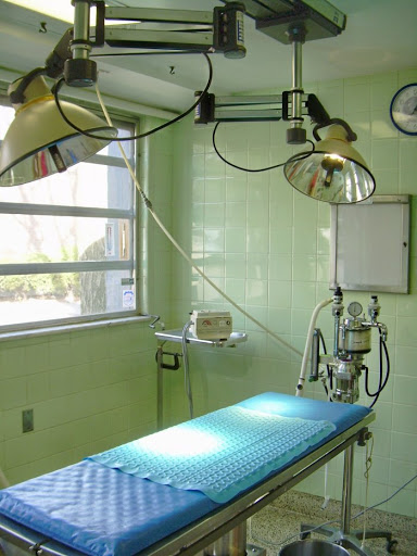 Foster Animal Hospital Gallery - United States