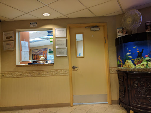 Arden Dental Services P.C. - Thumbnail