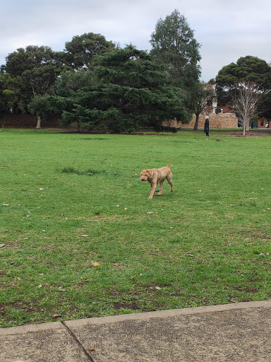 Halley Park - Visual