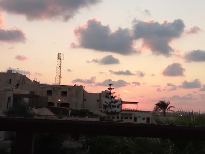 Photos of Marina Village