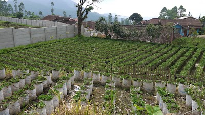 Photos of Abang Hotel Ciwidey