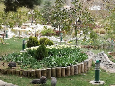 Photos of Tehran Birds Garden