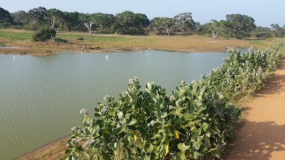 Photos of Yala Safaris Sri Lanka