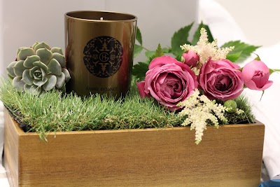 Photos of Tilia Flowers and Chocolate