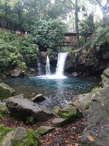 Flecha Amarilla