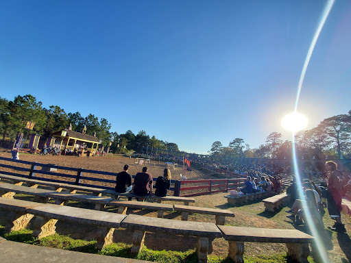 The Arena
