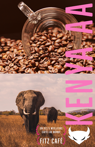 Fitz Café - Visual