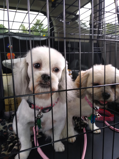 Zen Grooming (Previously The Red Dog Salon) - Thumbnail