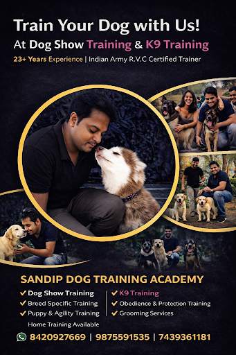 Sandip Dog Training Academy provides professional dog training services with over 23 years of exp… post image