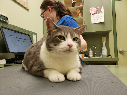 VCA Canada Beardall Animal Hospital Gallery - Canada