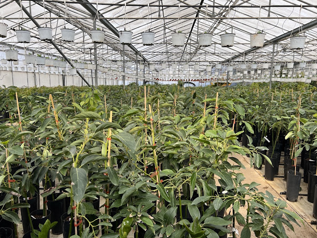 Comentarii opinii despre Garden Center - Νίκος Ξερογιαννάκης