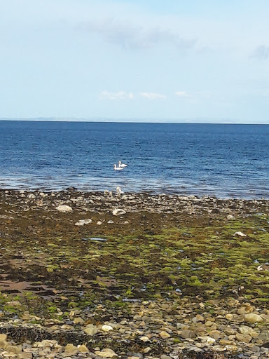 Coast Arran - Thumbnail
