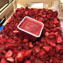 Photo n°4 de Les petits fruits du Lignon à Le Chambon-sur-Lignon (Ferme bio)