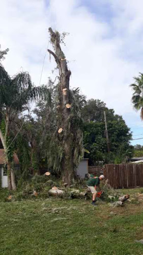 Anchors Away Tree Service LLC