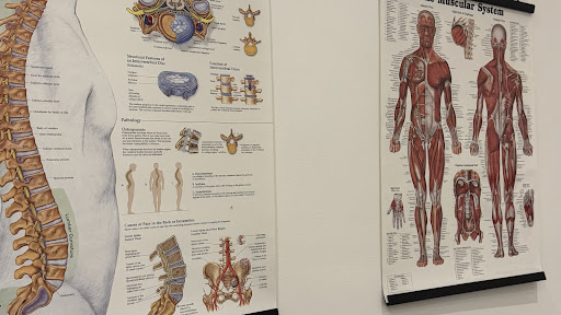 Happy Bod Sports Massage Therapy