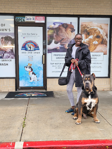 Puppy Palace Self-Service Dog Wash, LLC - Thumbnail