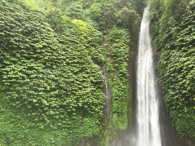 Gitgit Waterfall