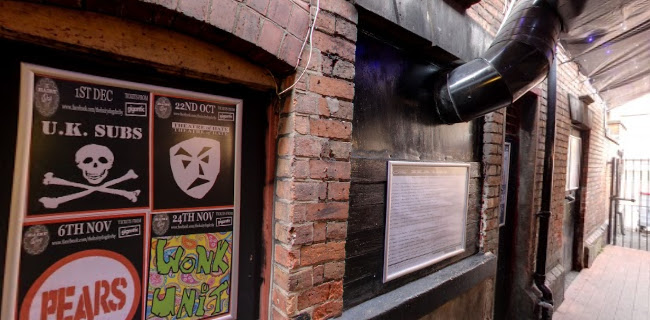 hairydogvenue.co.uk