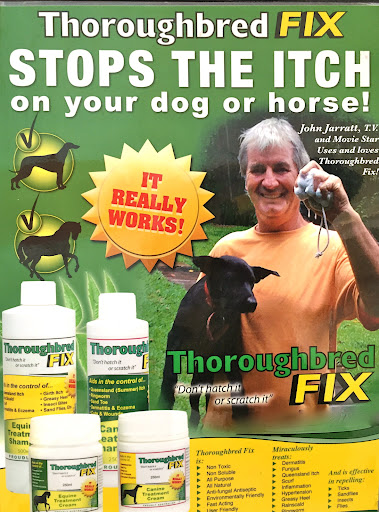 Thoroughbred Fix - Visual