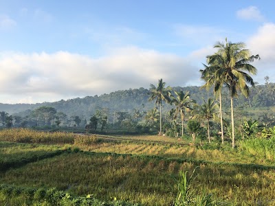 Photos of Pura Telaga Tista